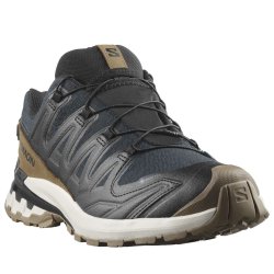 Кросівки Salomon Xa Pro 3D V9 GTX Lifelong M - коричневі
