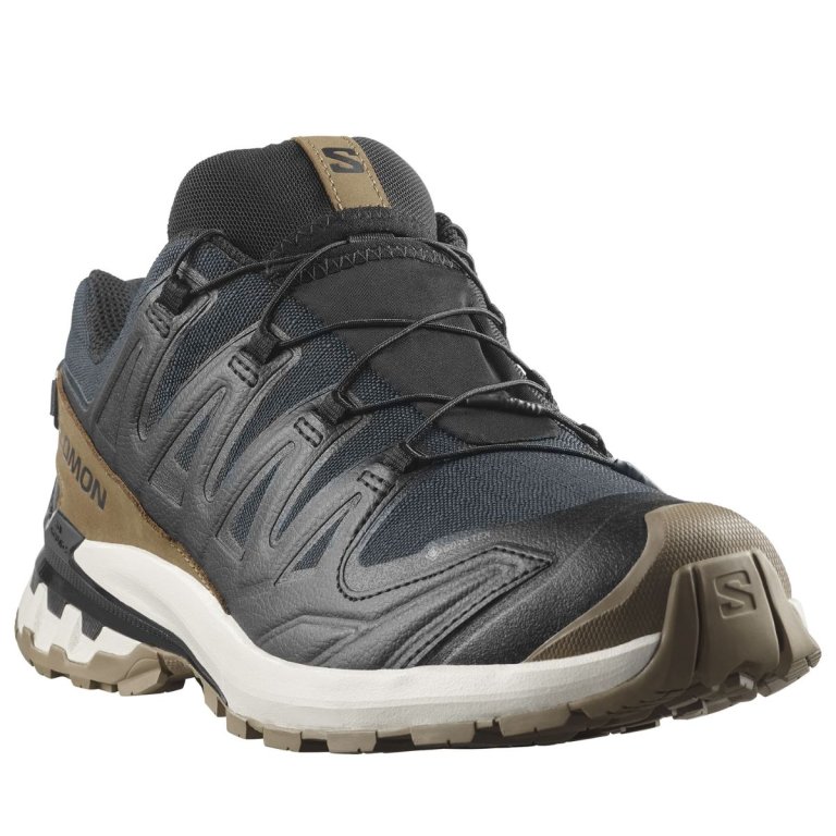 Кросівки Salomon Xa Pro 3D V9 GTX Lifelong W - коричневі