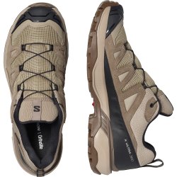 Взуття Salomon X Ultra 360 Leather GTX M - бежеве