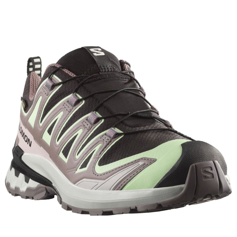 Кросівки Salomon Xa Pro 3D V9 GTX W - сіро/зелені