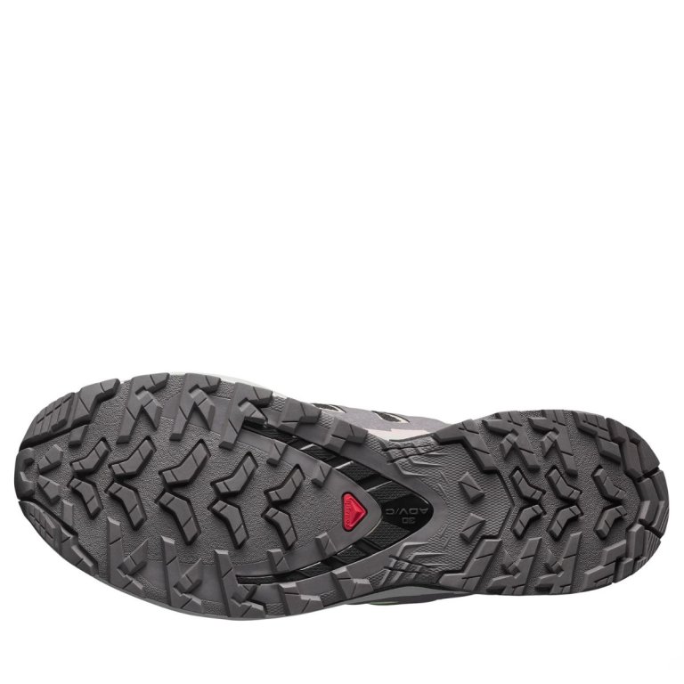 Кросівки Salomon Xa Pro 3D V9 GTX W - сіро/зелені