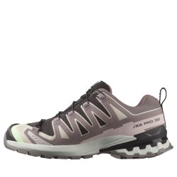 Кросівки Salomon Xa Pro 3D V9 GTX W - сіро/зелені