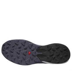 Кросівки Salomon Pulsar W - фіолетові
