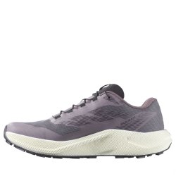 Кросівки Salomon Pulsar W - фіолетові