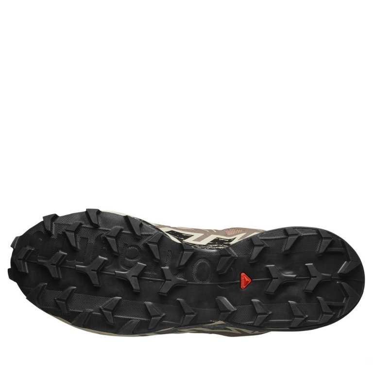 Кросівки Salomon Speedcross 6 M - бежеві