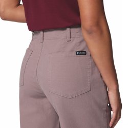 Штани Columbia ROC™ Straight Leg Pant (стандартна довжина) - сірі