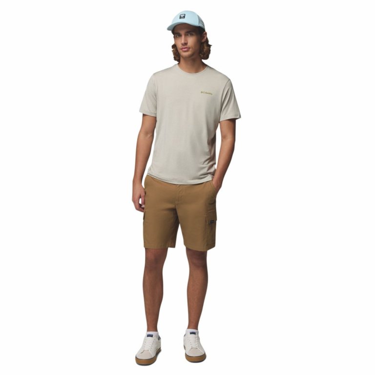Футболка Columbia Parsons Point™ SS Back Graphic Tee M - світло-сіра