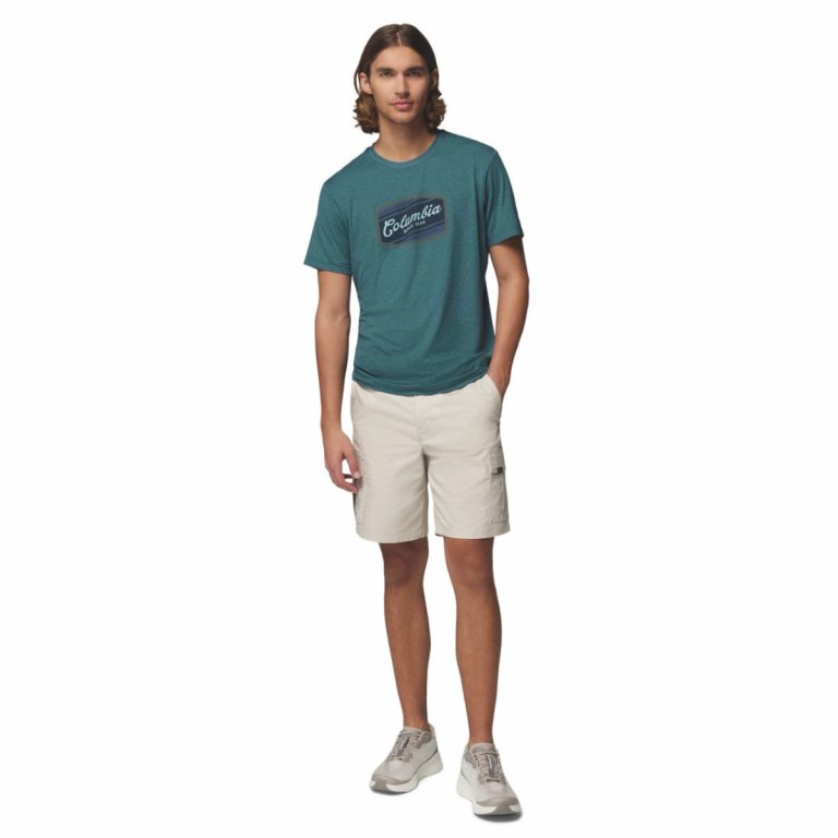 Футболка Columbia Parsons Point™ SS Graphic Tee M - синя