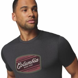 Футболка Columbia Parsons Point™ SS Graphic Tee M - темно-сіра
