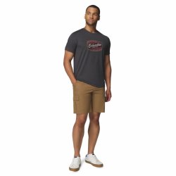 Футболка Columbia Parsons Point™ SS Graphic Tee M - темно-сіра