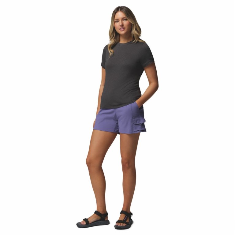 Футболка Columbia Parsons Point™ SS Logo Tee W - темно-сіра