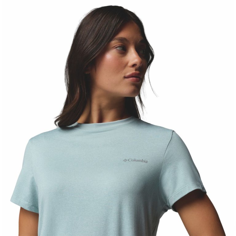 Футболка Columbia Parsons Point™ SS Logo Tee W - блакитна
