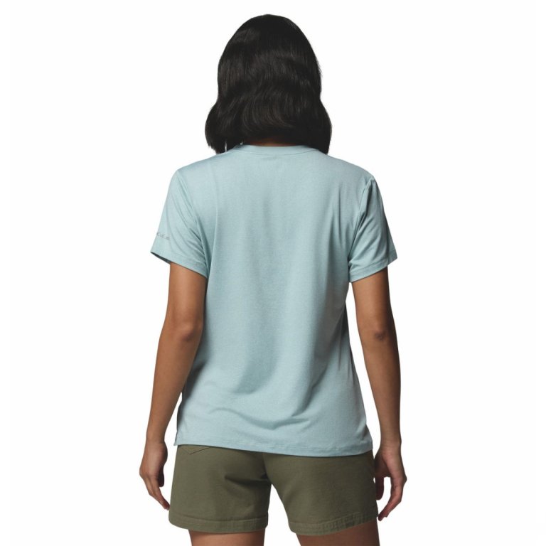 Футболка Columbia Parsons Point™ SS Graphic Tee W - блакитна