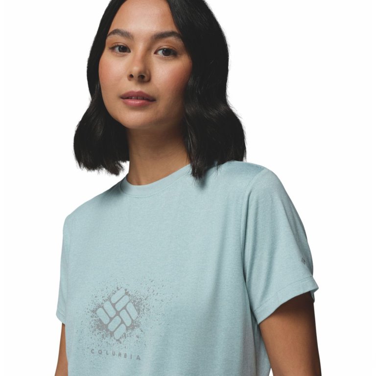 Футболка Columbia Parsons Point™ SS Graphic Tee W - блакитна