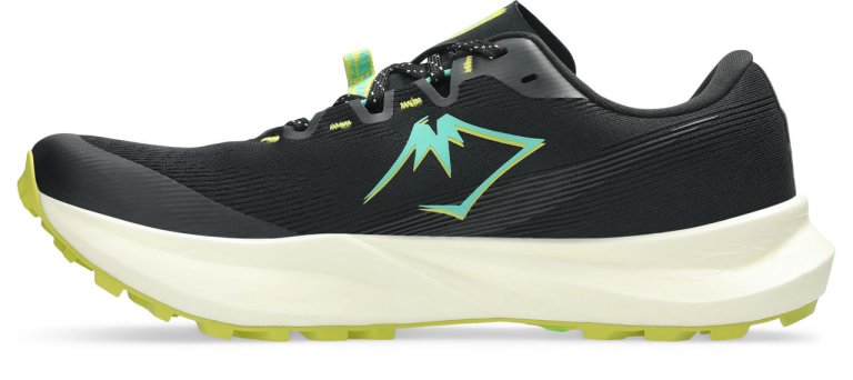 Кросівки Asics Fuji Lite 6 M - чорні