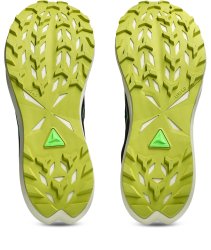 Кросівки Asics Fuji Lite 6 M - чорні
