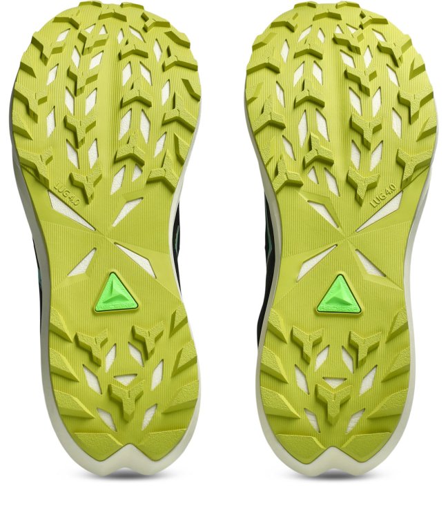 Кросівки Asics Fuji Lite 6 M - чорні
