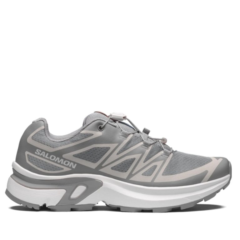 Кросівки Salomon XT-Evr W - сірі