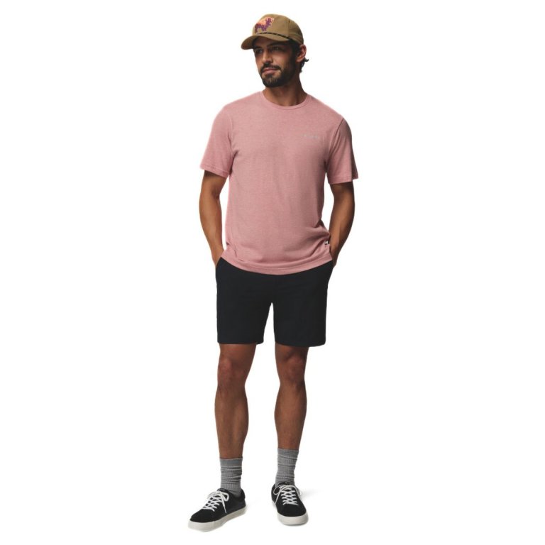 Футболка Columbia Thistletown Hills™ Short Sleeve M - рожева