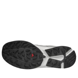 Кросівки EVR Salomon XT-Evr GTX M - сірі