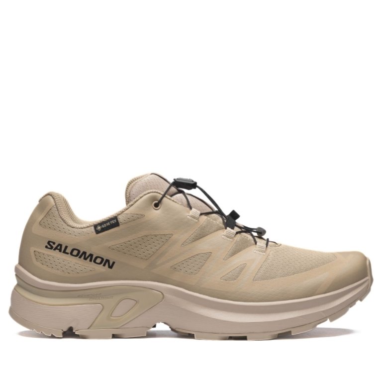 Кросівки EVR Salomon XT-Evr GTX M - бежеві
