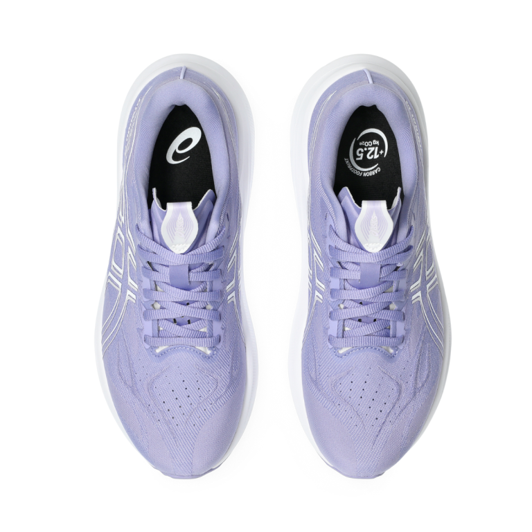 Кросівки Asics GT-2000 14 W - фіолетово/білі