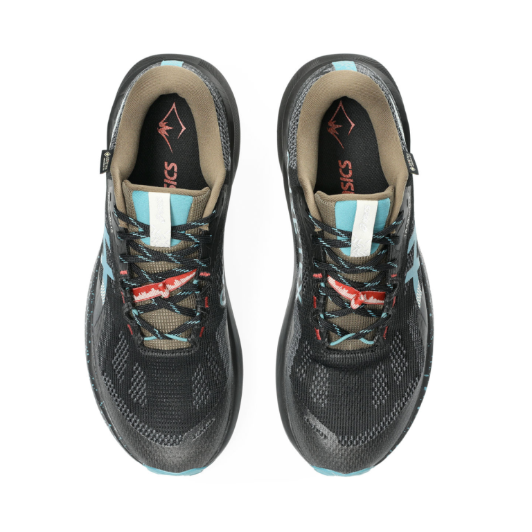 Кросівки Asics Trabuco 14 GTX M - сині