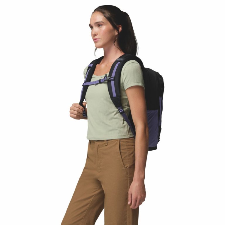 Рюкзак Columbia Landroamer™ Everyday Backpack - фіолетово/чорний