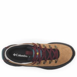 Взуття Columbia Terrastride BC™ M - коричнево/чорне