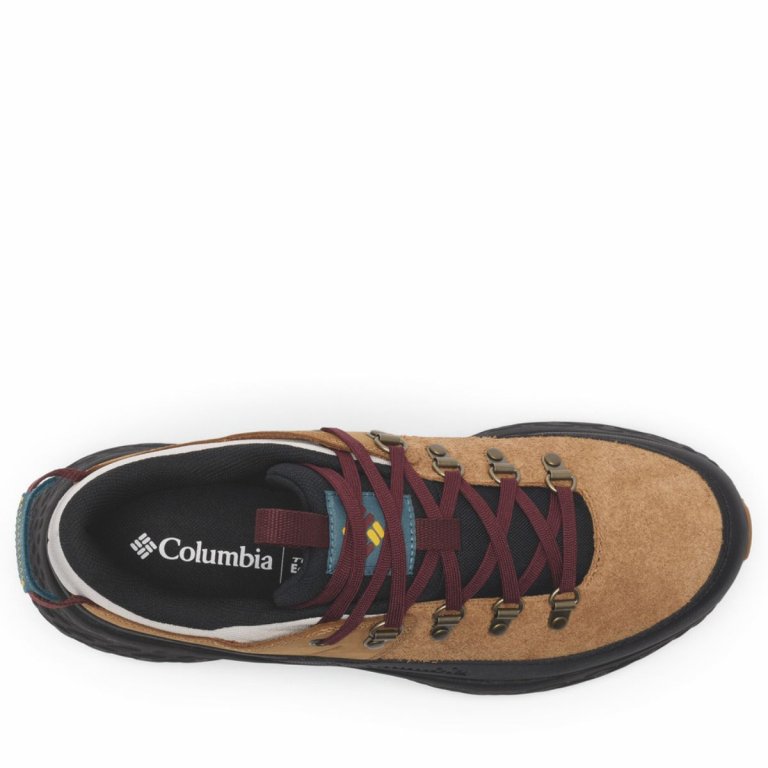 Взуття Columbia Terrastride BC™ M - коричнево/чорне