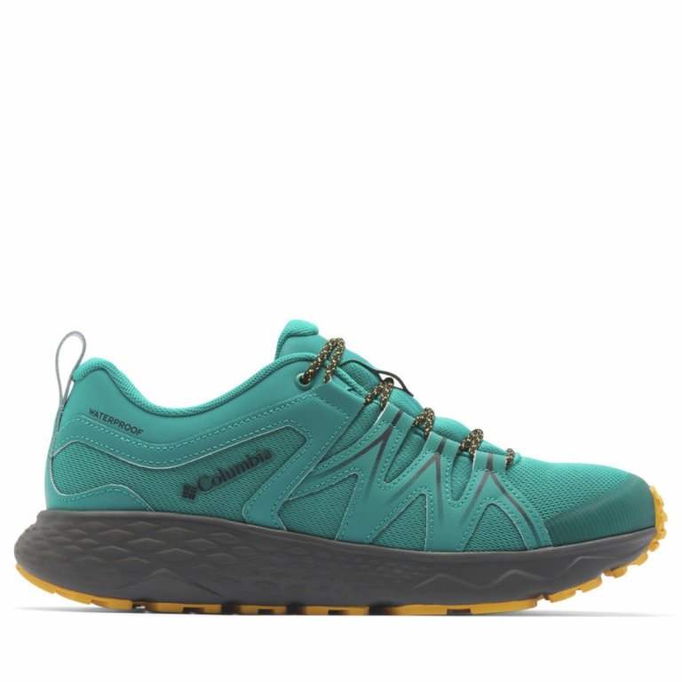 Черевики Columbia Peakfreak Roam™ Waterproof M - сині