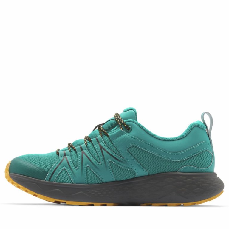 Черевики Columbia Peakfreak Roam™ Waterproof M - сині