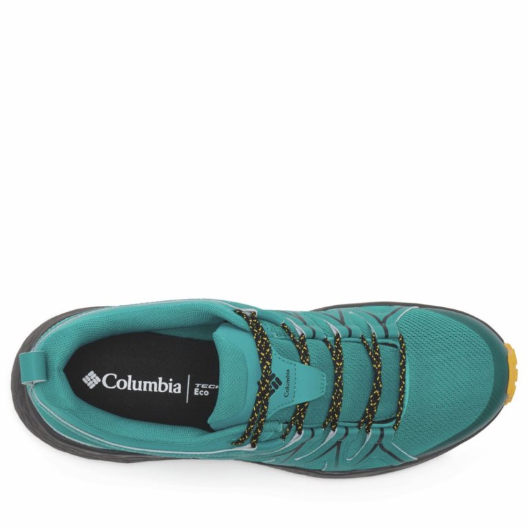 Черевики Columbia Peakfreak Roam™ Waterproof M - сині