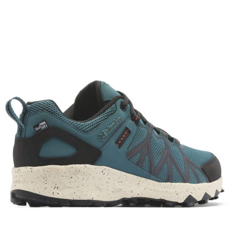 Черевики Columbia Peakfreak™ II Outdry™ M - сині