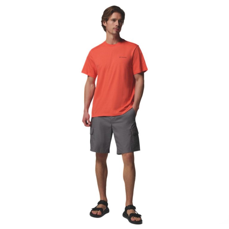 Футболка Columbia CSC™ Logo Back Tee M - помаранчева