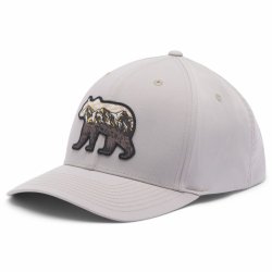 Кепка Columbia Lost Lager™ 3D Stretch Snapback - сіра