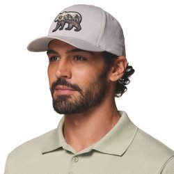 Кепка Columbia Lost Lager™ 3D Stretch Snapback - сіра