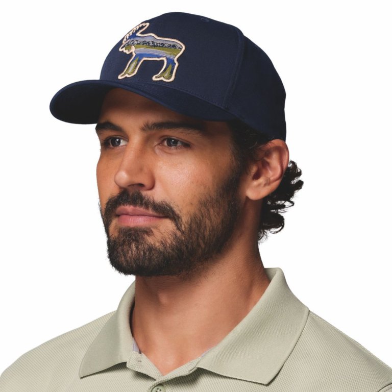 Кепка Columbia Lost Lager™ 3D Stretch Snapback - синя