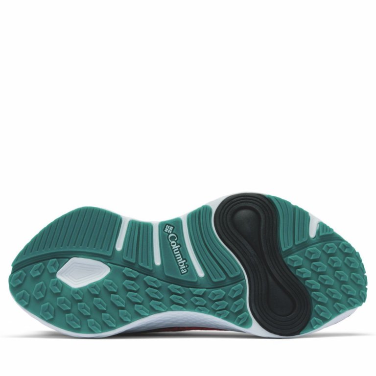 Кросівки Columbia Konos Elevate™ W - чорні