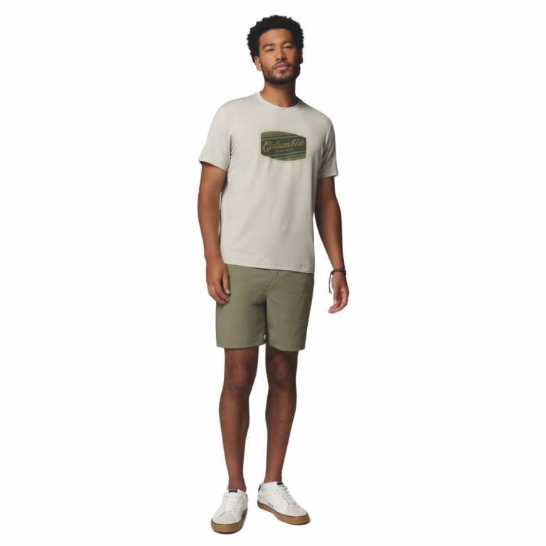 Футболка Columbia Parsons Point™ SS Graphic Tee M - сіра