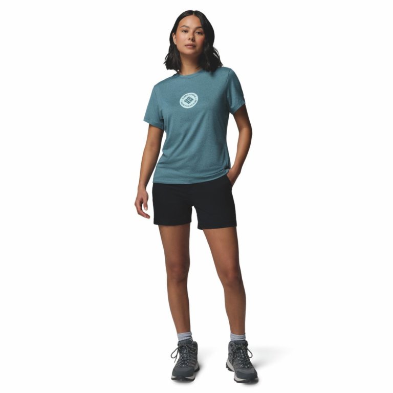 Футболка Columbia Parsons Point™ SS Graphic Tee W - синя