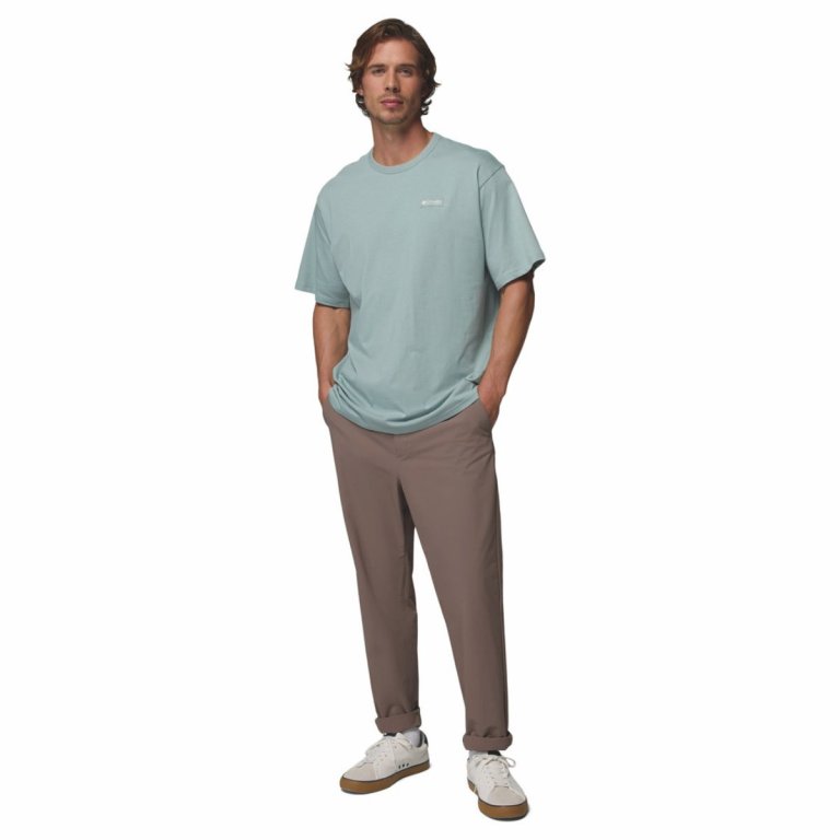 Футболка Columbia CSC™ Heavyweight Tee M - блакитна