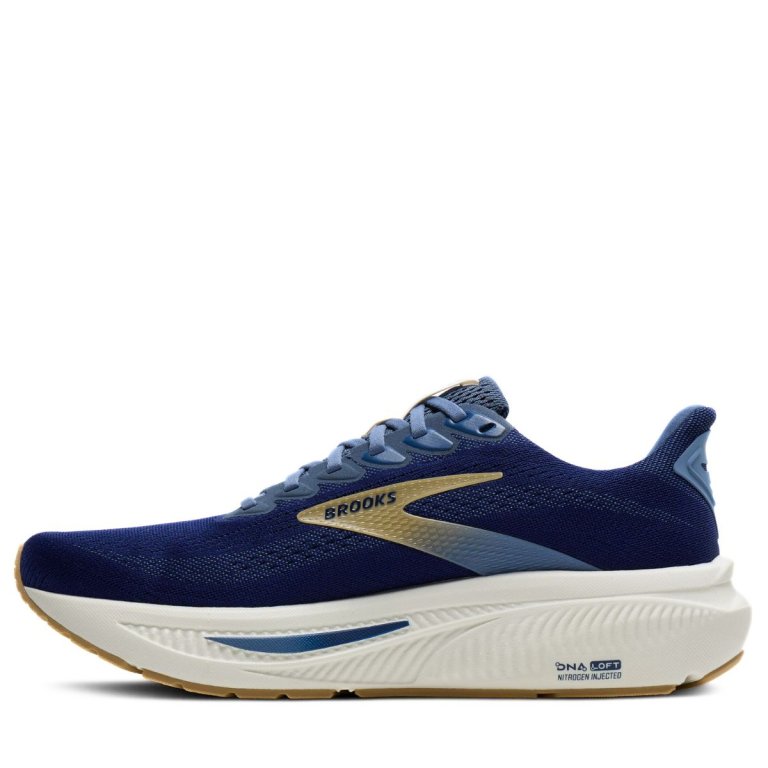 Кросівки Brooks Ghost 17 M - сині