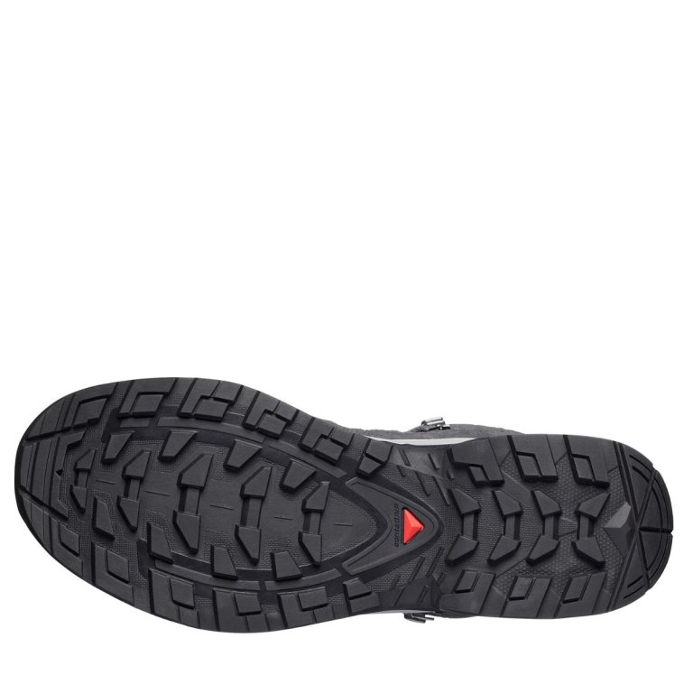 Черевики Salomon Quest Echo GTX M - сірі