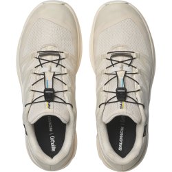 Кросівки EVR Salomon XT-Evr GTX W - бежеві