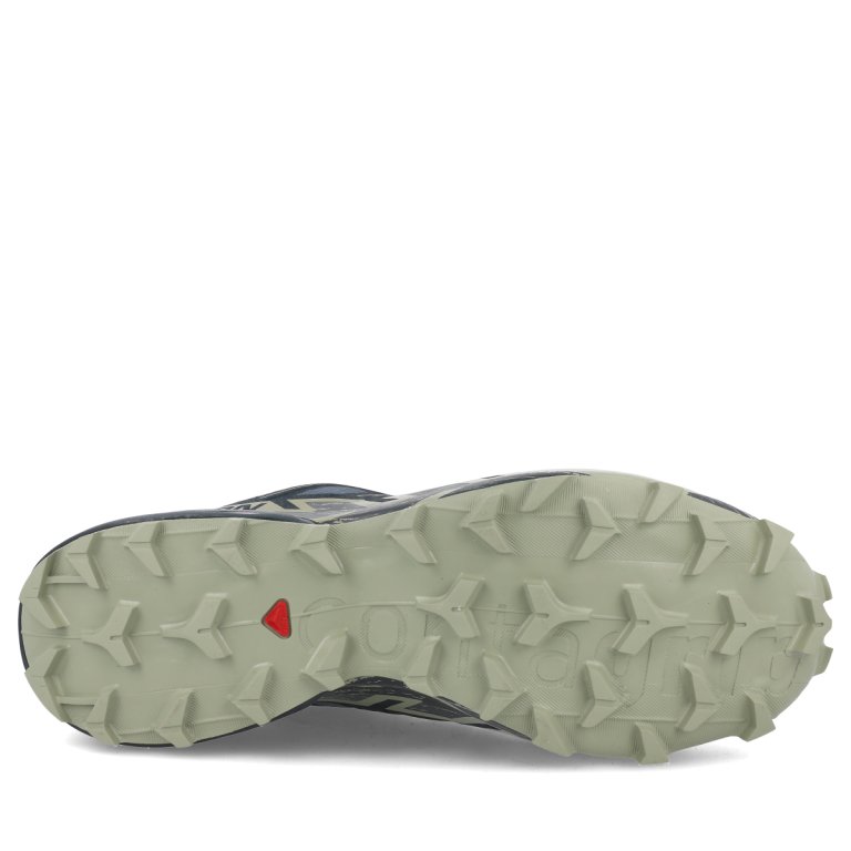 Кросівки Salomon Speedcross 6 GTX M - сірі / зелені