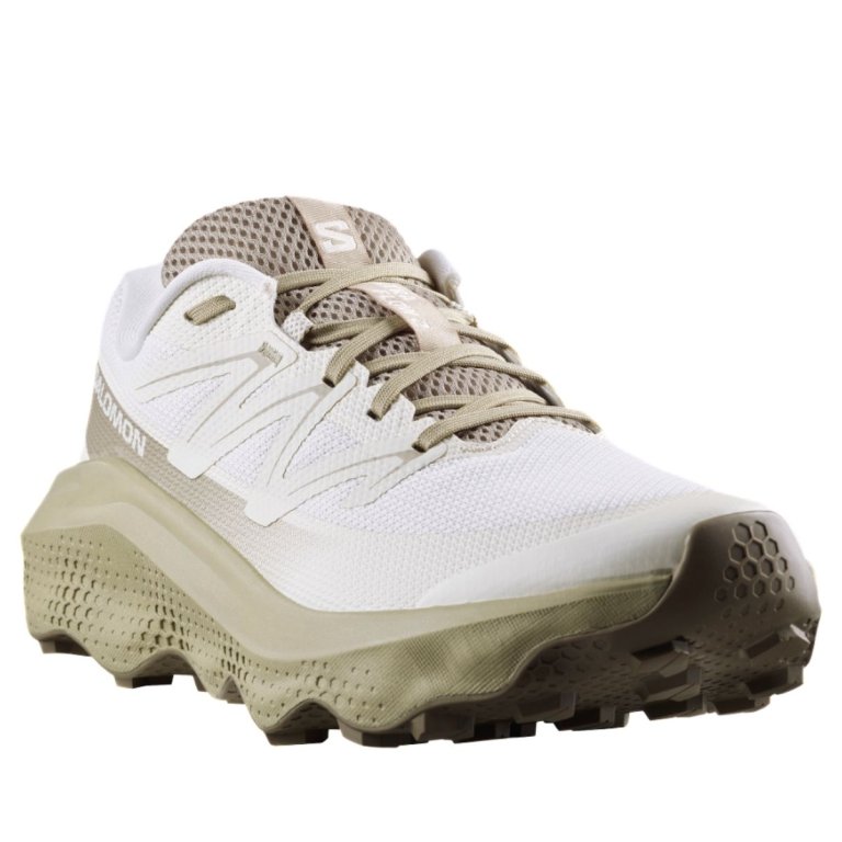 Кросівки Salomon Ultra Flow 2 M - бежеві