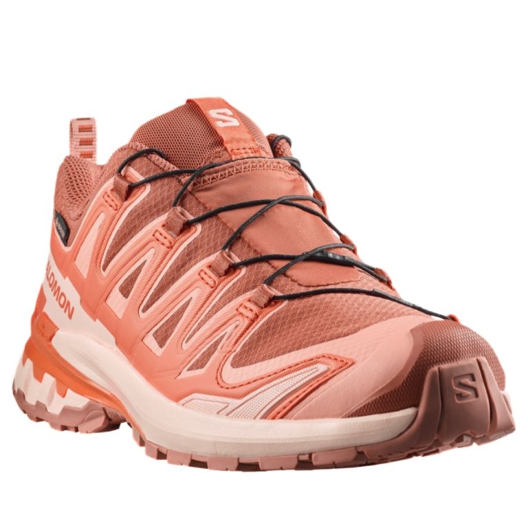 Кросівки Salomon Xa Pro 3D V9 GTX W - помаранчеві