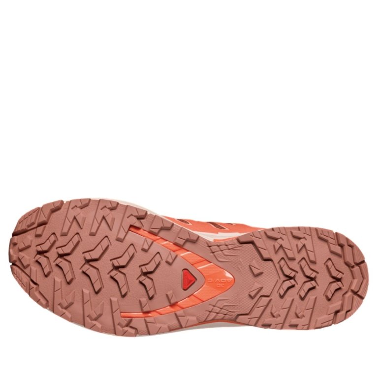Кросівки Salomon Xa Pro 3D V9 GTX W - помаранчеві
