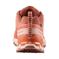 Кросівки Salomon Xa Pro 3D V9 GTX W - помаранчеві